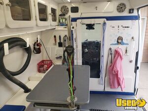 2017 Ram Promaster 2500 Pet Care / Veterinary Truck Fresh Water Tank Colorado Gas Engine for Sale