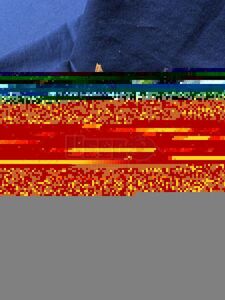 2017 Vintage Cruiser Bakery Trailer Tv/dvd Arizona for Sale