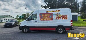 2018 Sprinter 144 Pet Care / Veterinary Truck Air Conditioning Pennsylvania Diesel Engine for Sale