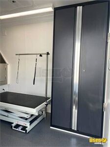 2019 350 Pet Care / Veterinary Truck Hot Water Heater Texas for Sale