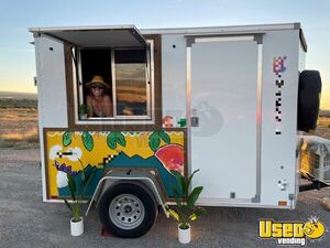 2019 Catering Food Concession Trailer Catering Trailer Colorado for Sale