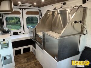 2020 2500 Ram Promaster Hightop Pet Care / Veterinary Truck Insulated Walls South Carolina Gas Engine for Sale