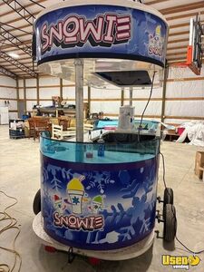 2020 Shaved Ice Trailer Snowball Trailer Diamond Plated Aluminum Flooring Alabama for Sale