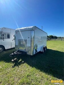 2021 Grooming Trailer Pet Care / Veterinary Truck Interior Lighting Texas for Sale
