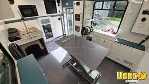 2022 Pet Stylist Elite Pet Care / Veterinary Truck Interior Lighting Georgia Gas Engine for Sale