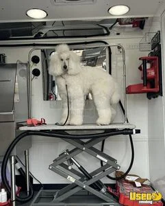 2024 Hanvey Pet Care / Veterinary Truck Diesel Engine Michigan Diesel Engine for Sale