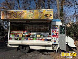2003 Workhorse P42 All-Purpose Food Truck | Hotdog Truck for Sale in Virginia!