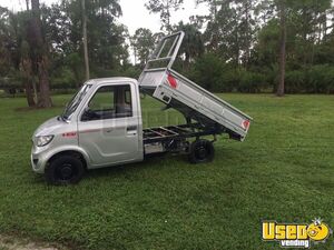 Brand New Mini Trucks Stepvan 3 Florida Gas Engine for Sale