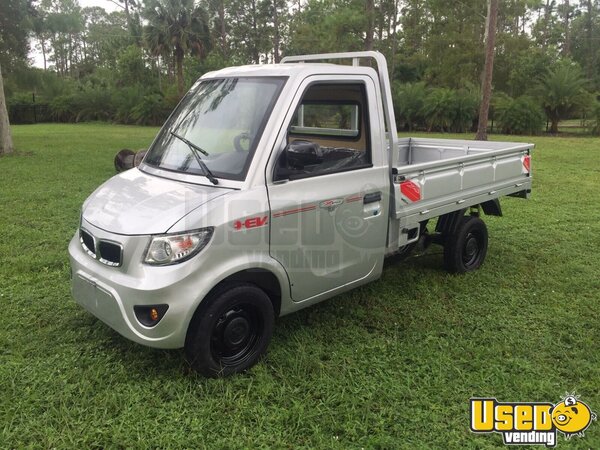 Brand New Mini Trucks Stepvan Florida Gas Engine for Sale