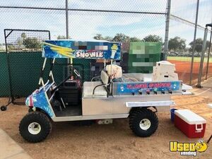 Electric Golf Cart Snowball Truck Snowball Truck Florida for Sale