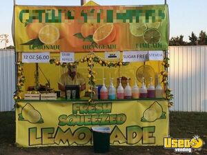 Turnkey Lemonade Concession Stand for Sale in Michigan!