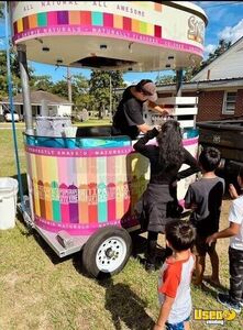 Shaved Ice Concession Trailer Snowball Trailer Ice Shaver Georgia for Sale