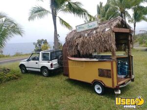 Tiki Hut Style Shaved Ice Concession Trailer Snowball Trailer Hawaii for Sale